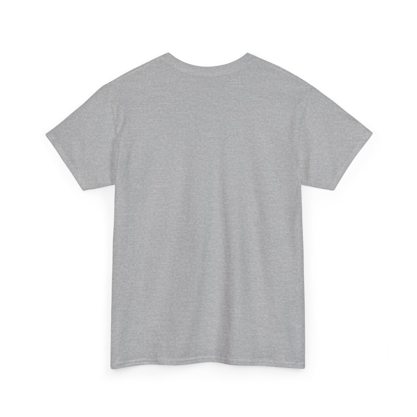 Zara Unisex Heavy Cotton Tee