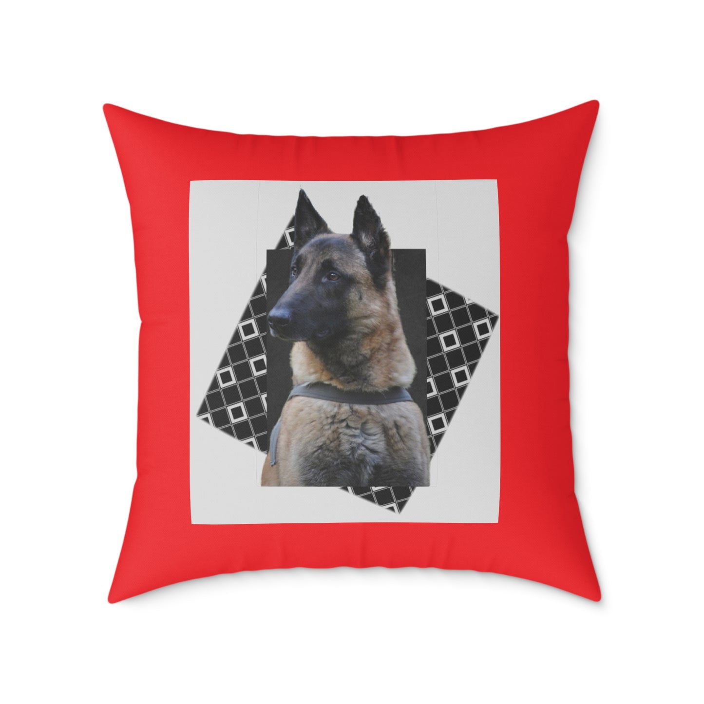 Square Poly Canvas Pillow
