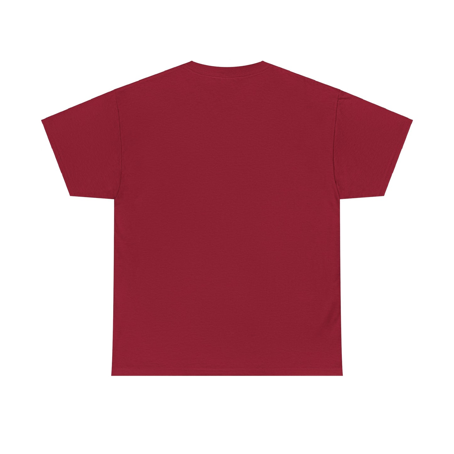 Zara Unisex Heavy Cotton Tee