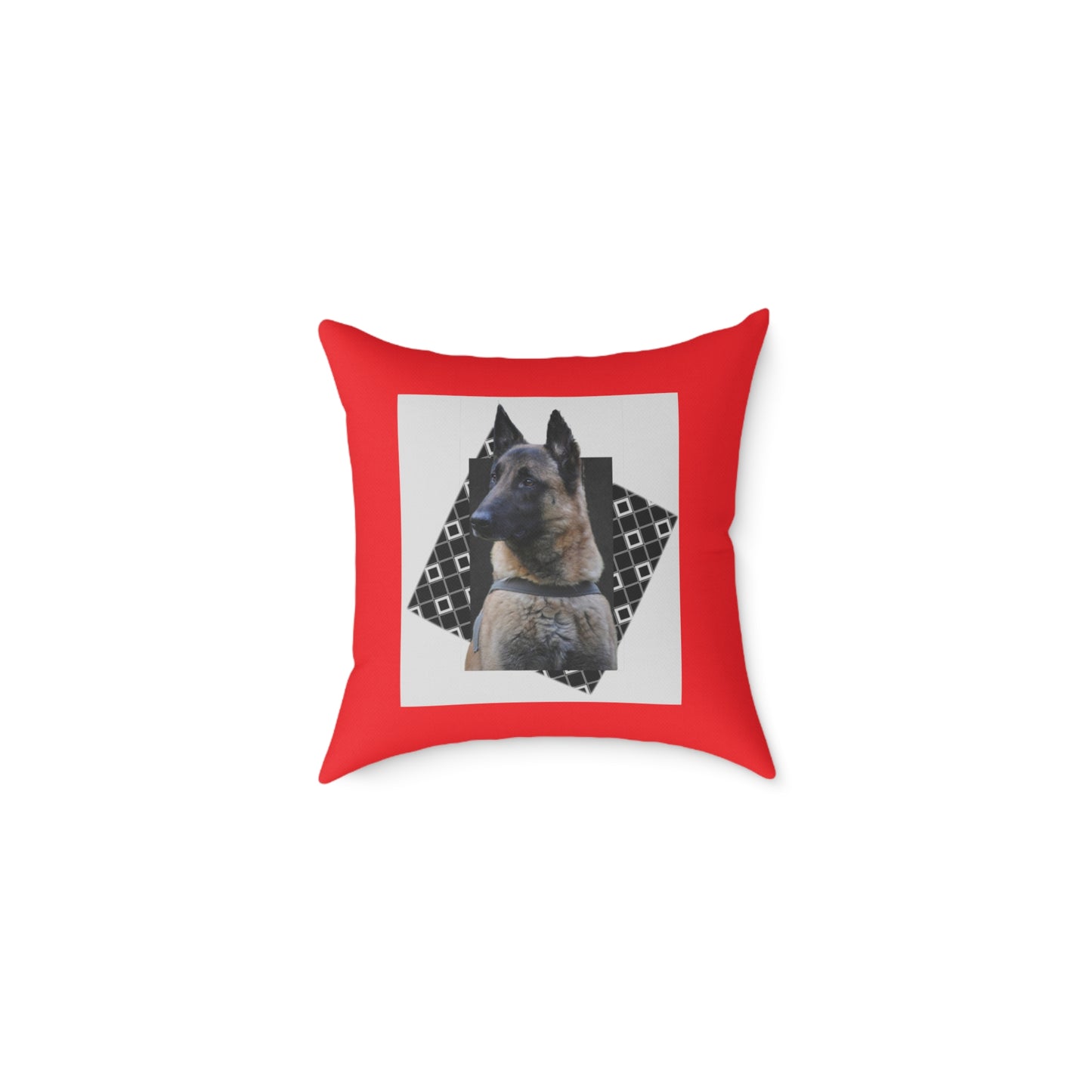 Square Poly Canvas Pillow