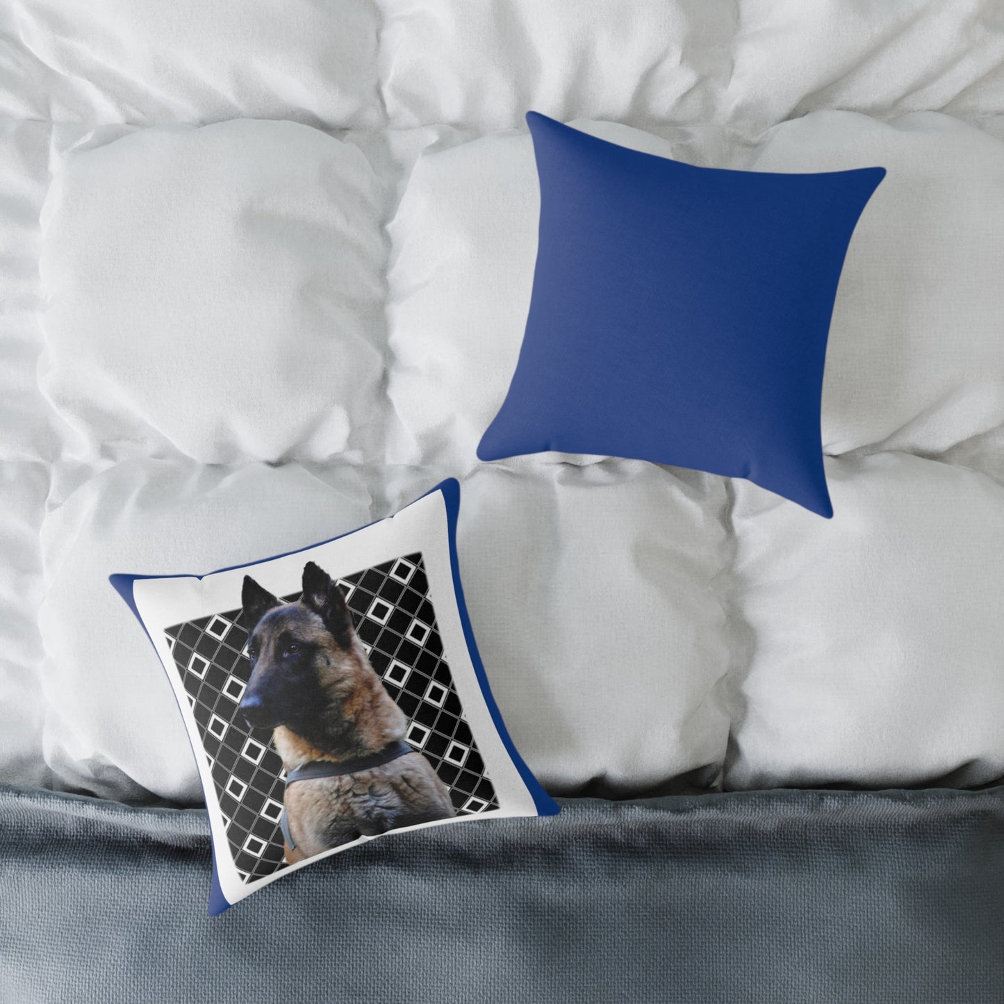 Square Poly Canvas Pillow