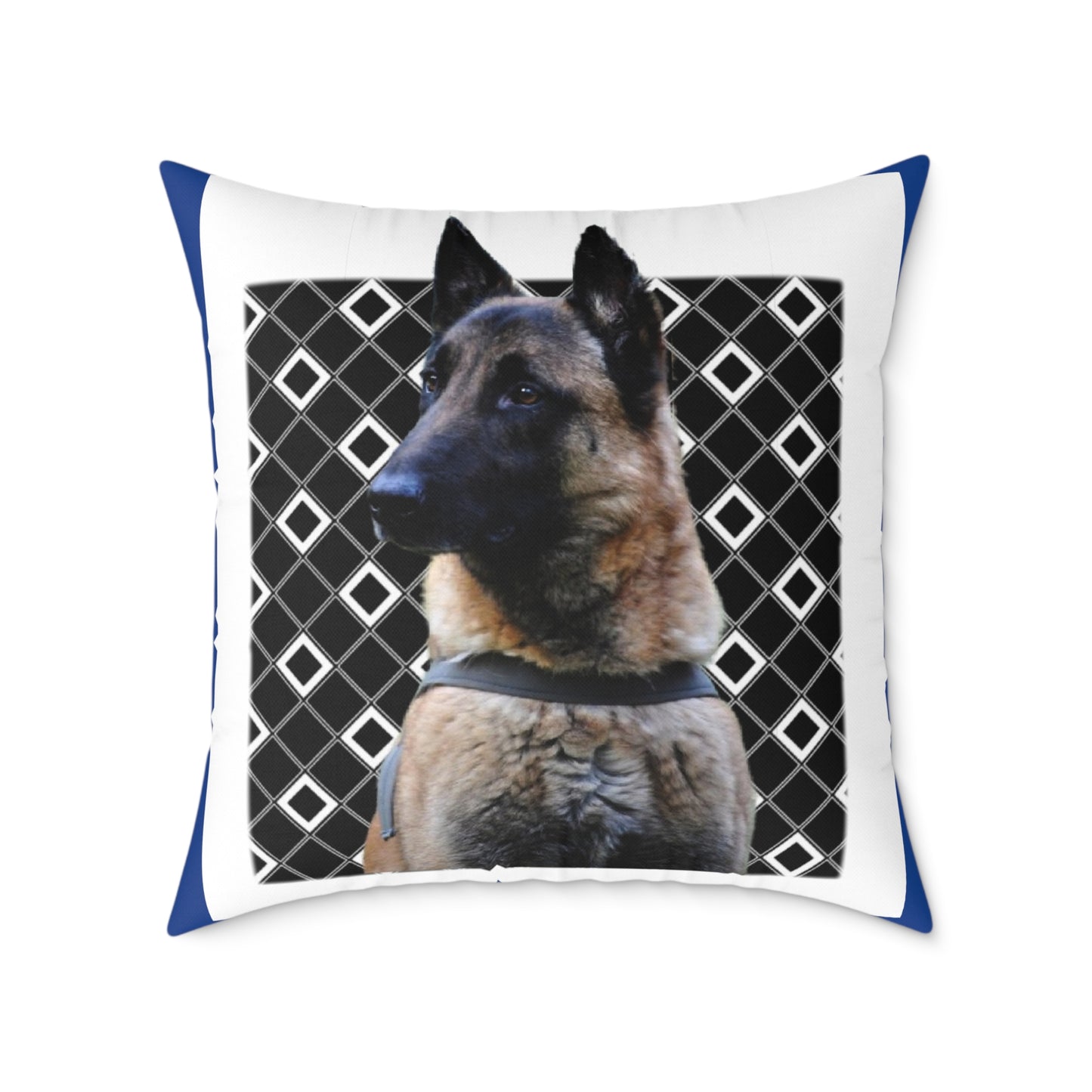 Square Poly Canvas Pillow
