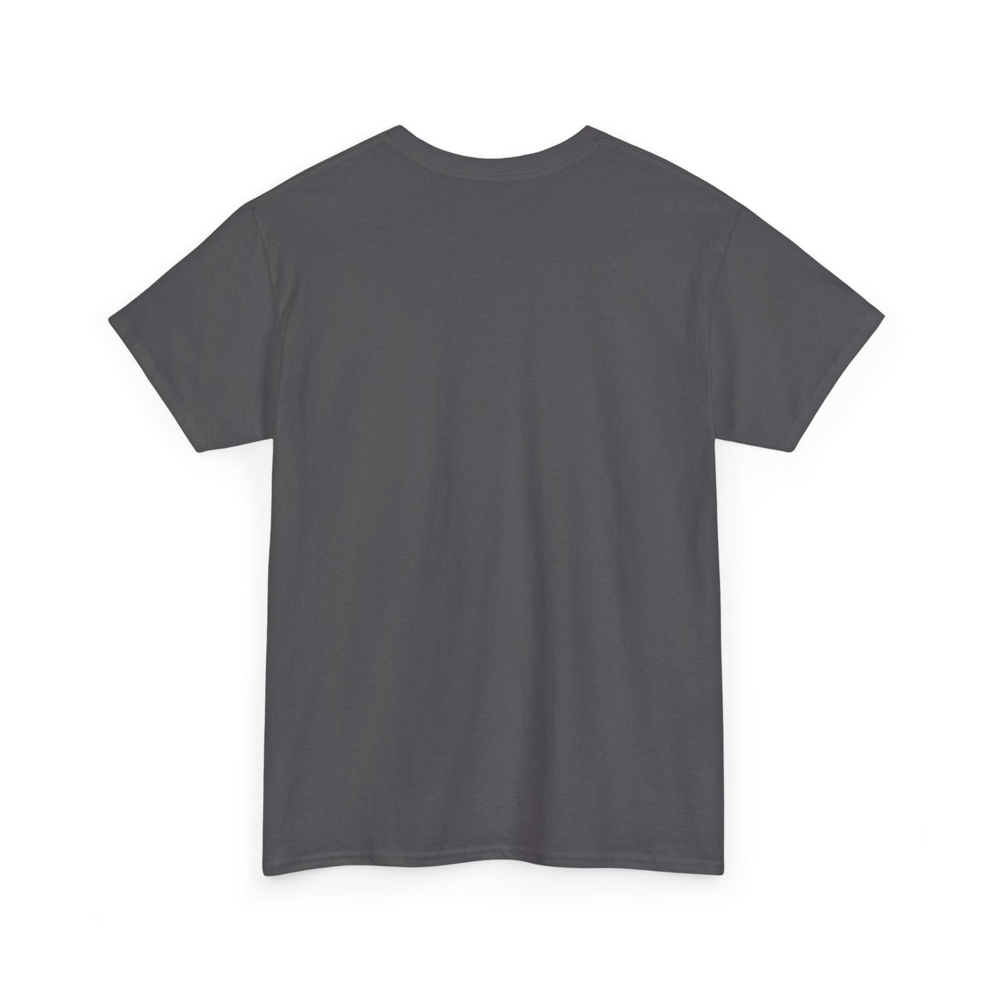 Zara Unisex Heavy Cotton Tee