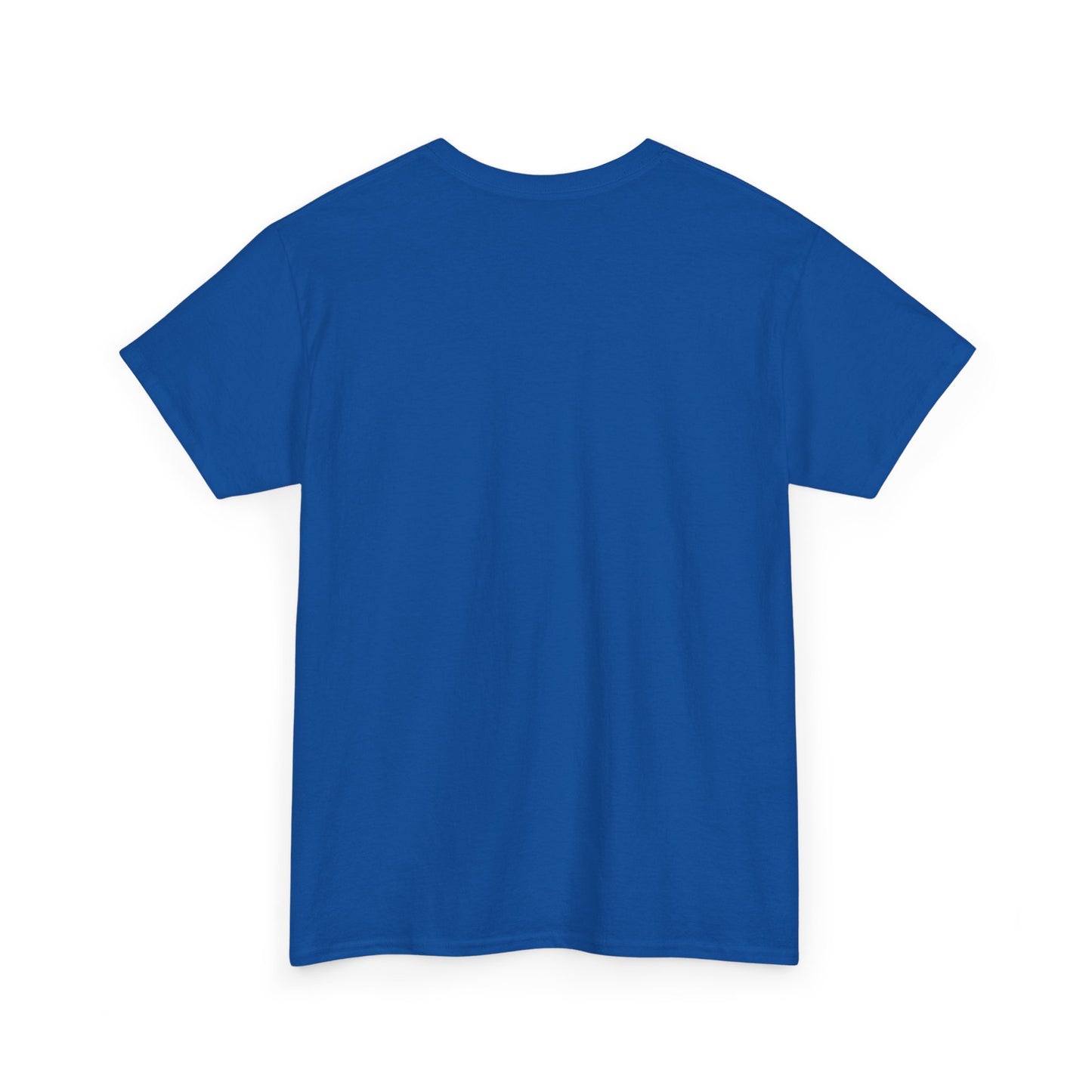 Zara Unisex Heavy Cotton Tee