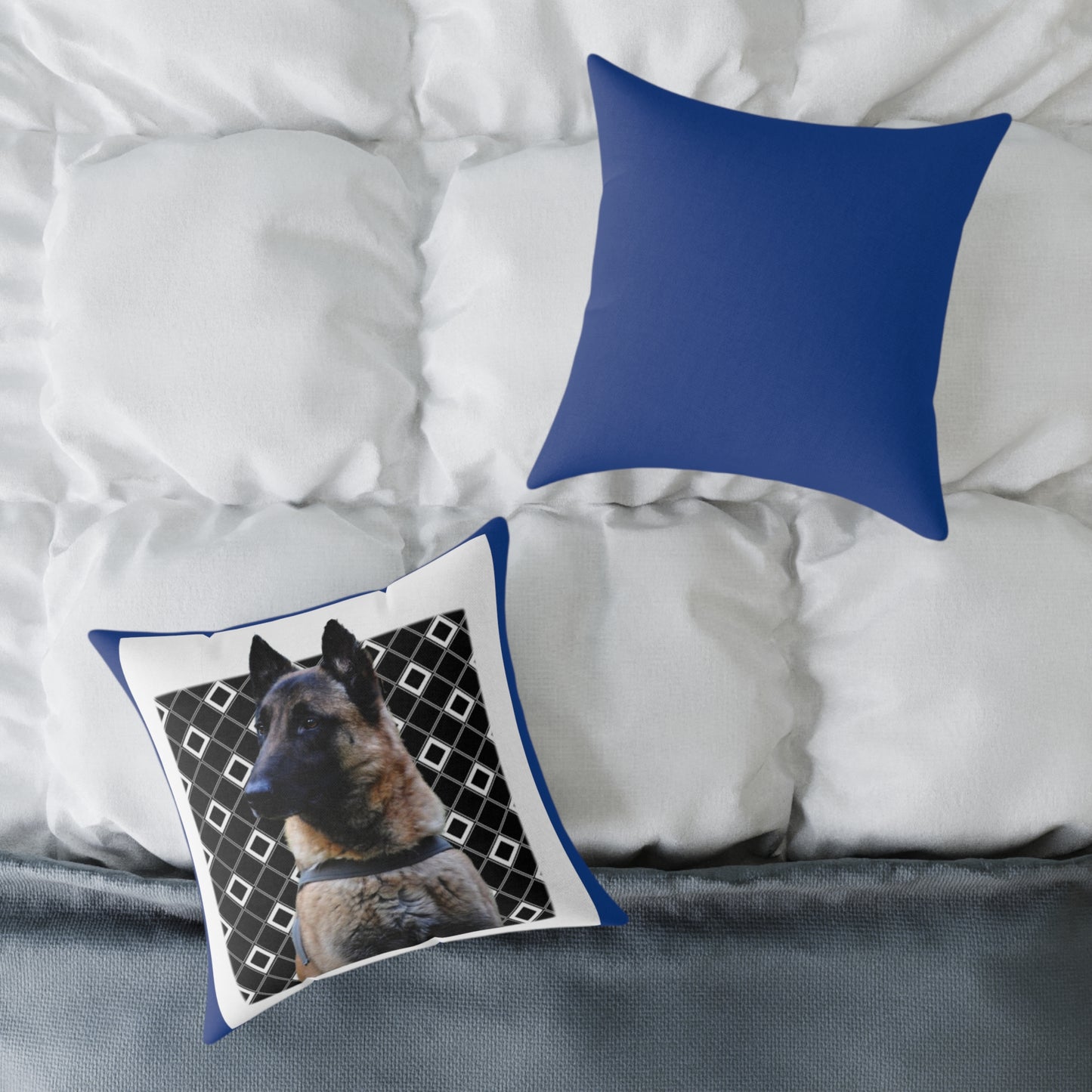 Square Poly Canvas Pillow