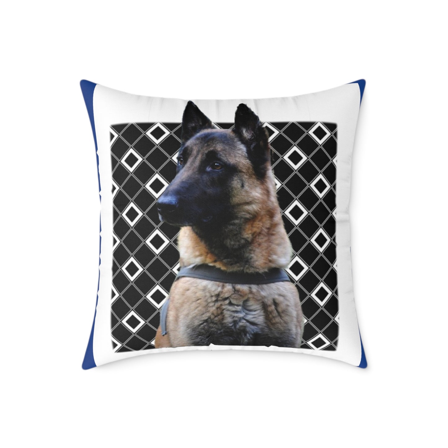 Square Poly Canvas Pillow