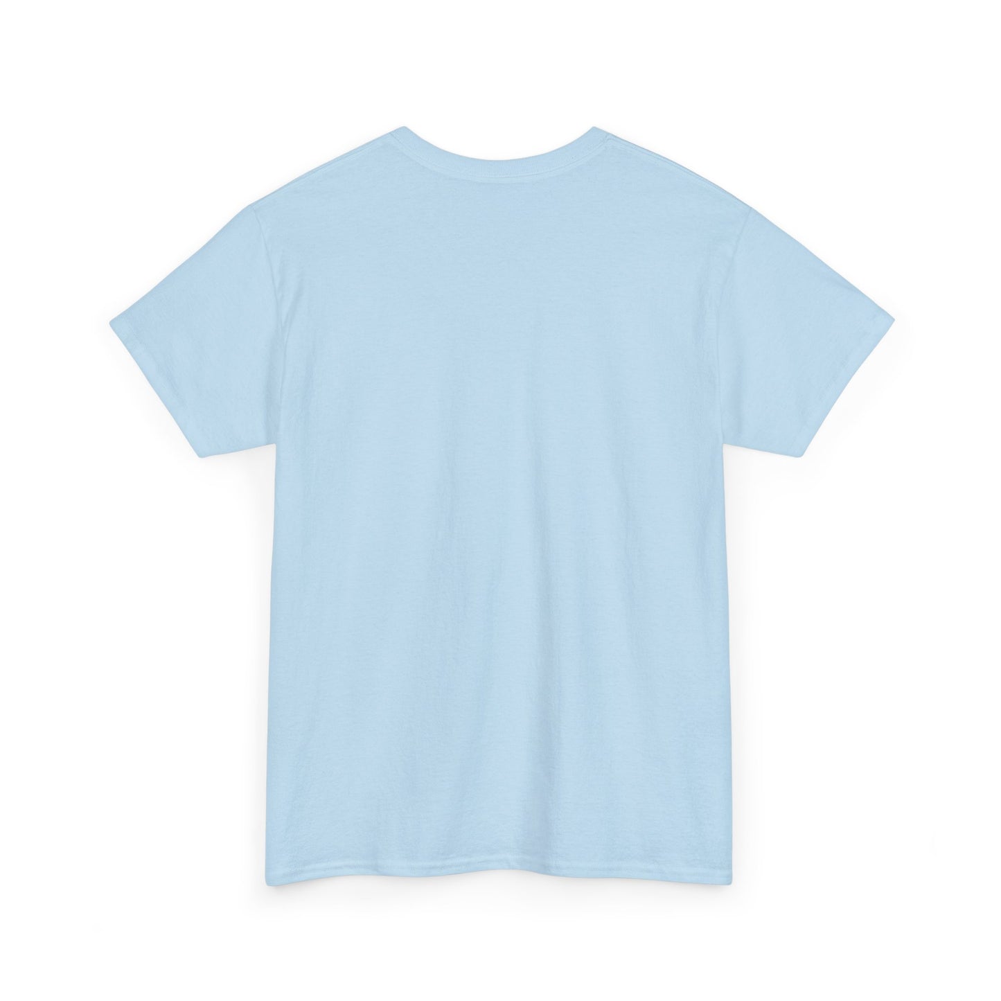 Zara Unisex Heavy Cotton Tee