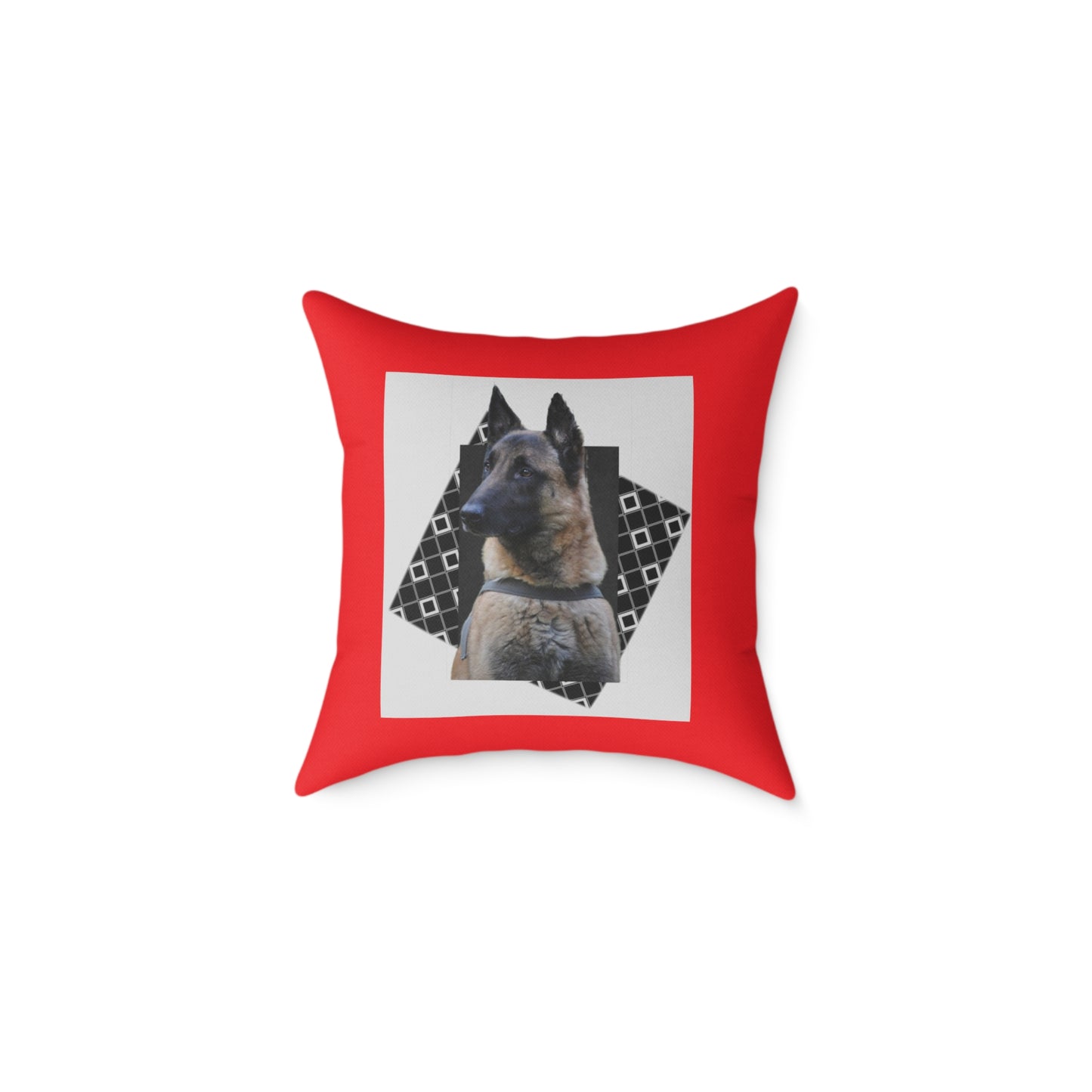 Square Poly Canvas Pillow