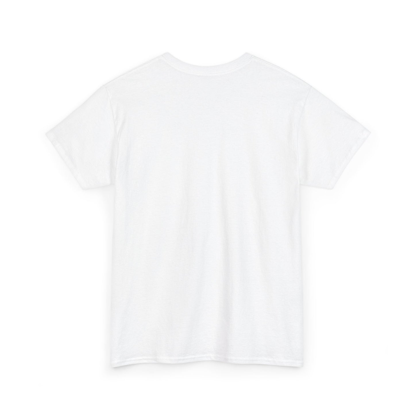Zara Unisex Heavy Cotton Tee