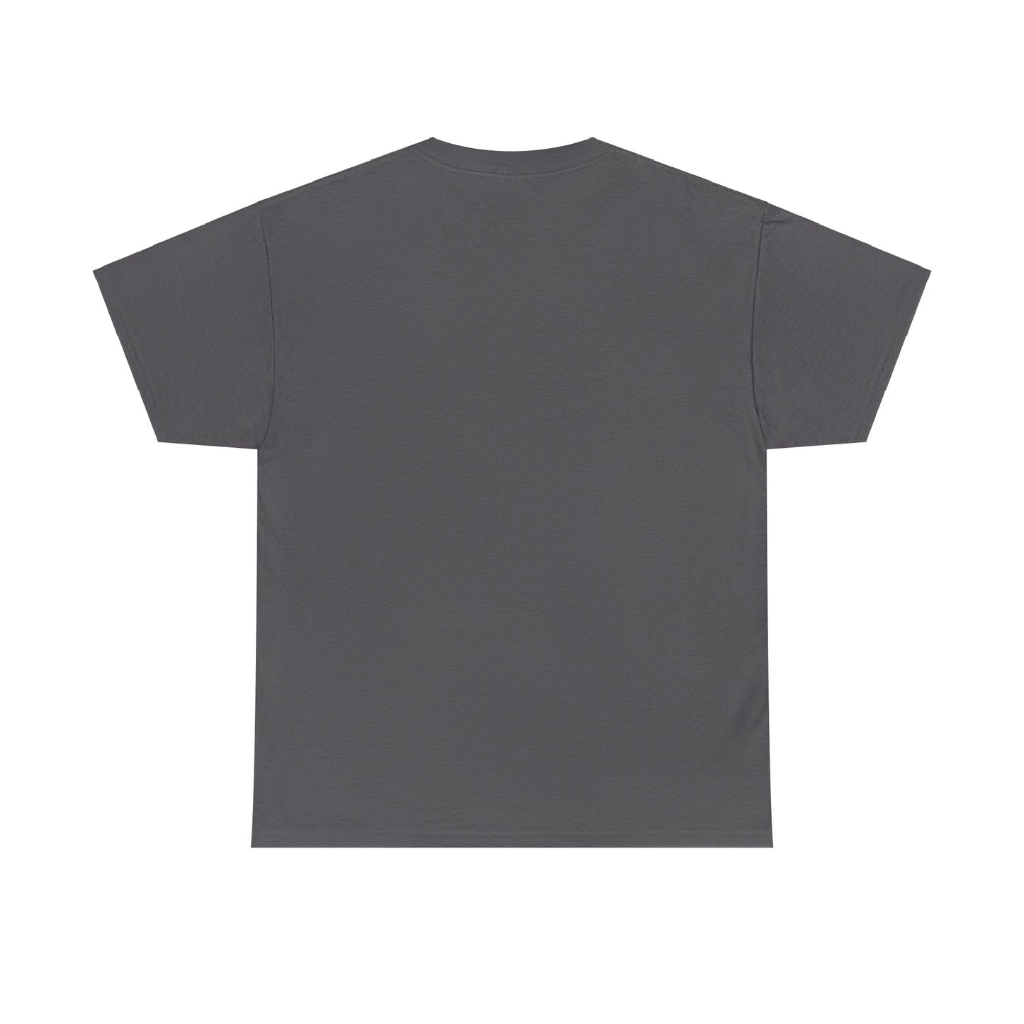 Zara Unisex Heavy Cotton Tee