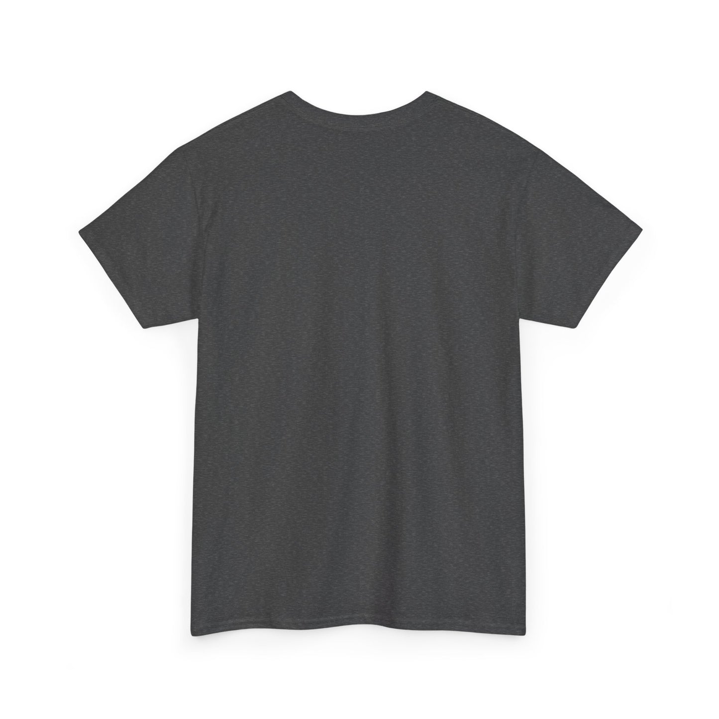 Zara Unisex Heavy Cotton Tee