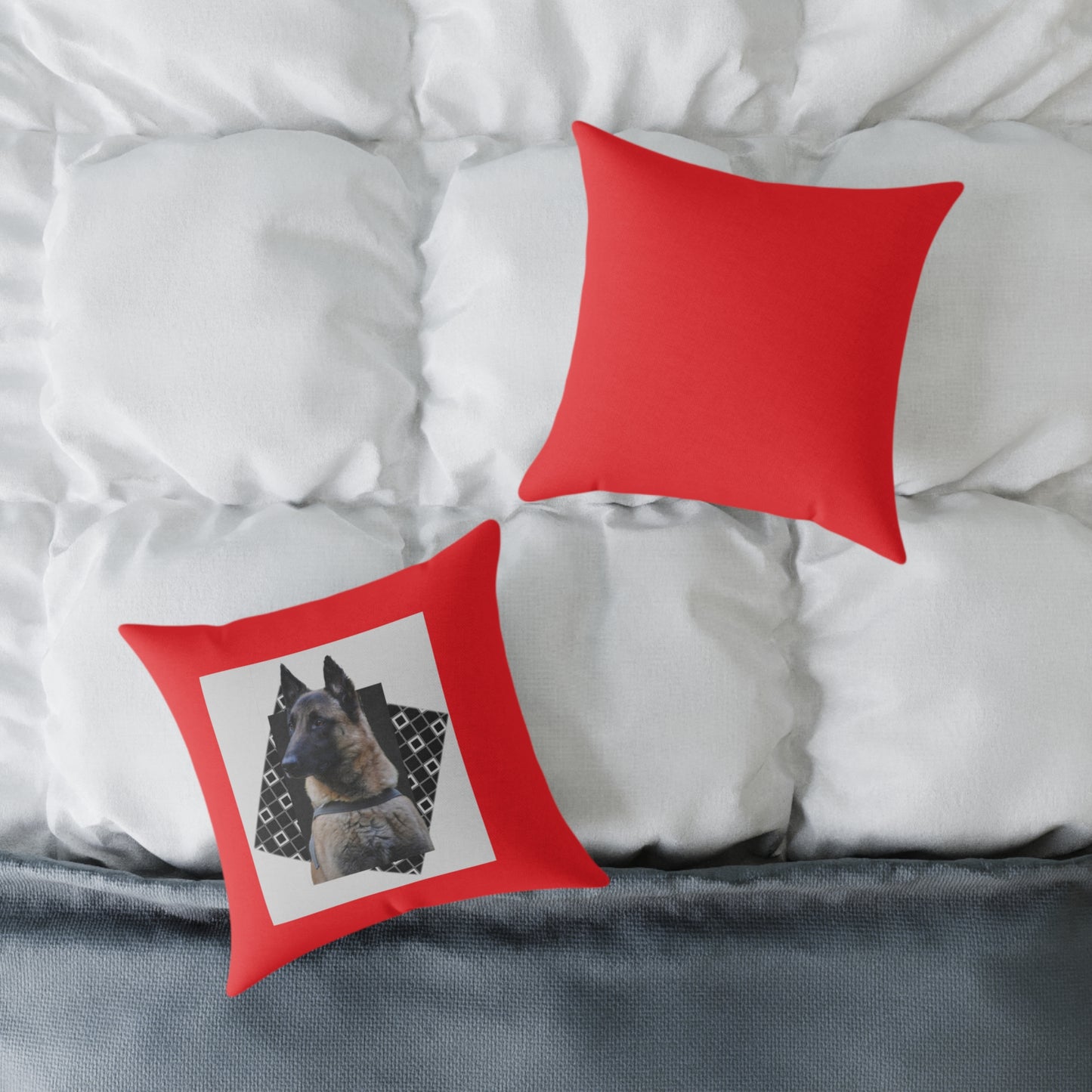 Square Poly Canvas Pillow