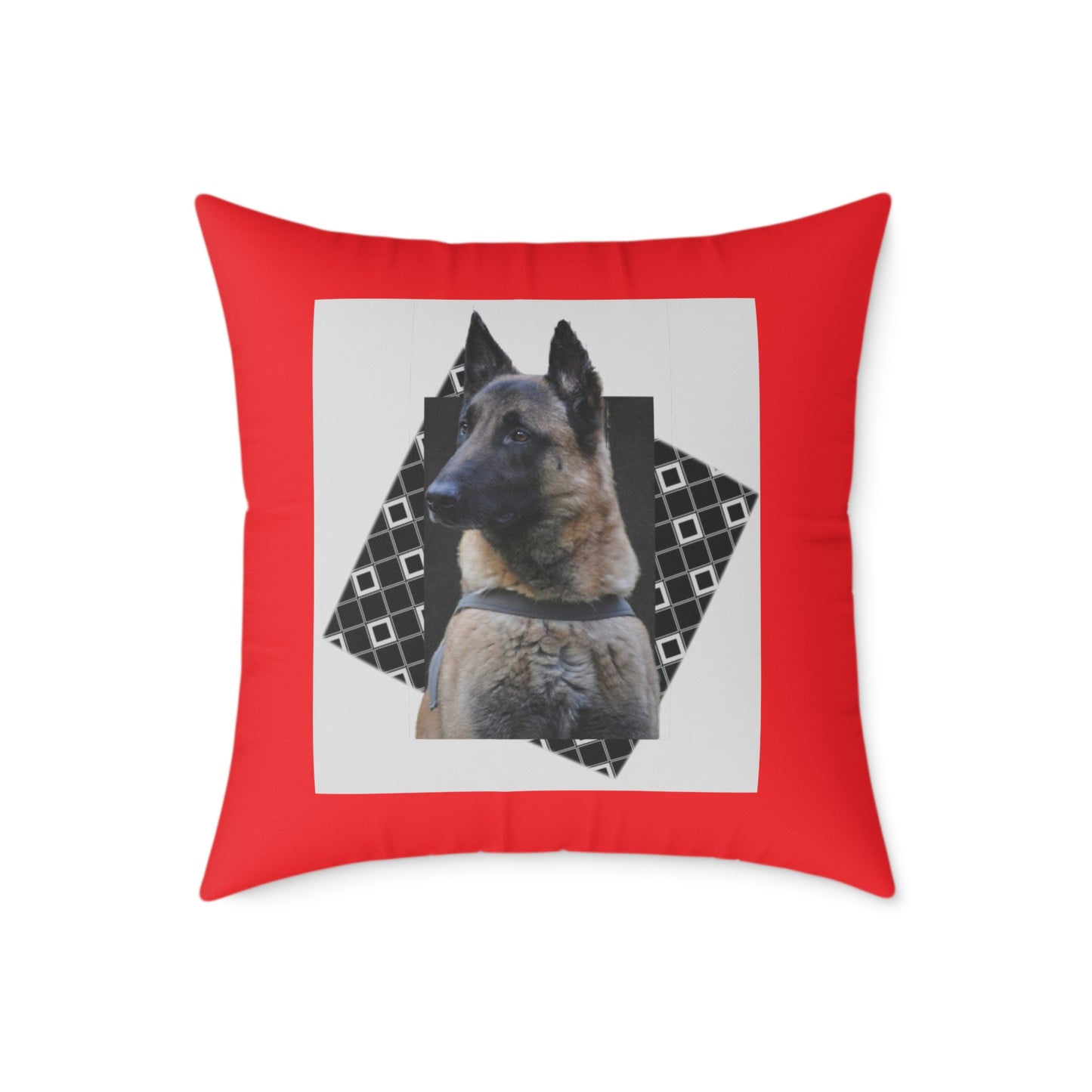 Square Poly Canvas Pillow