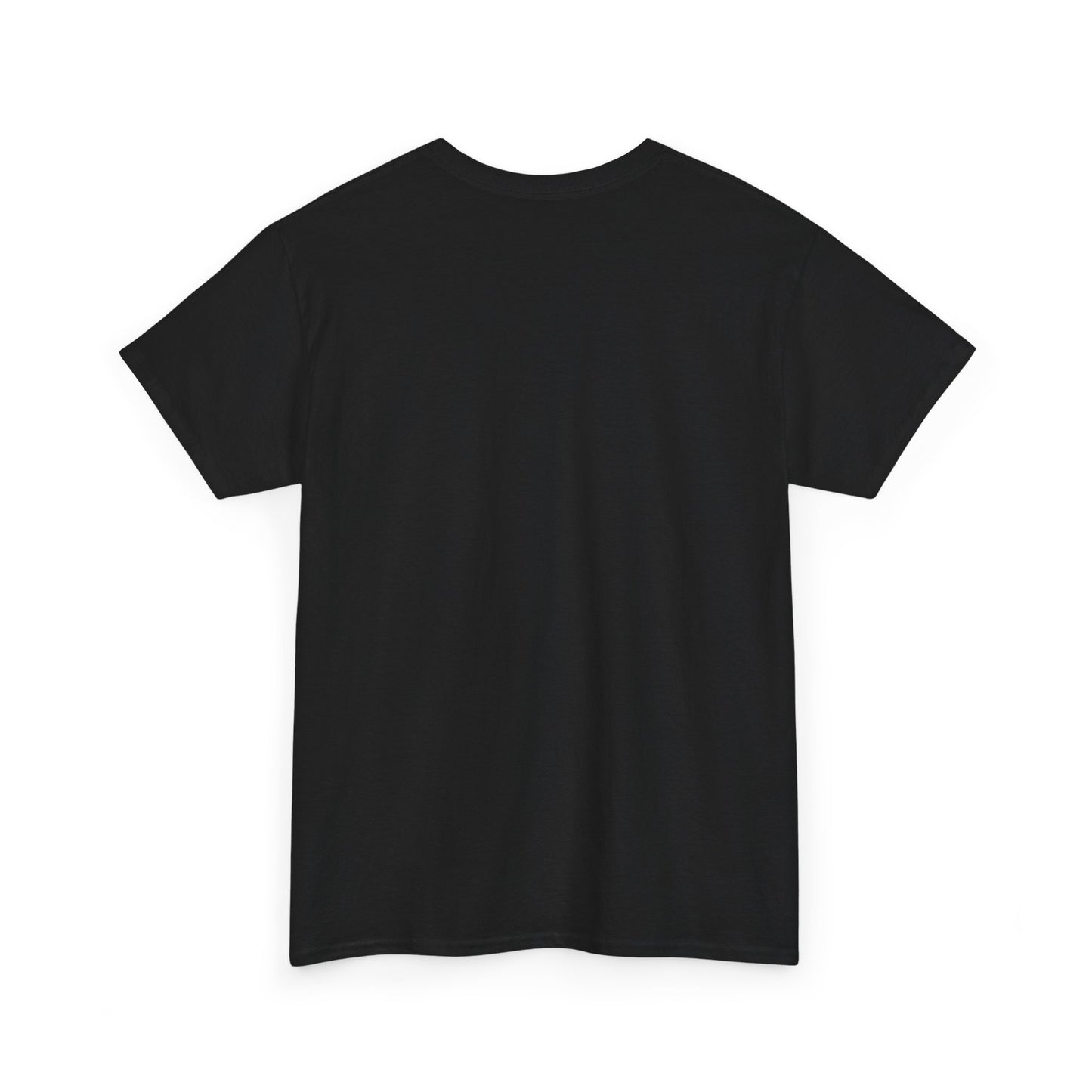 Zara Unisex Heavy Cotton Tee