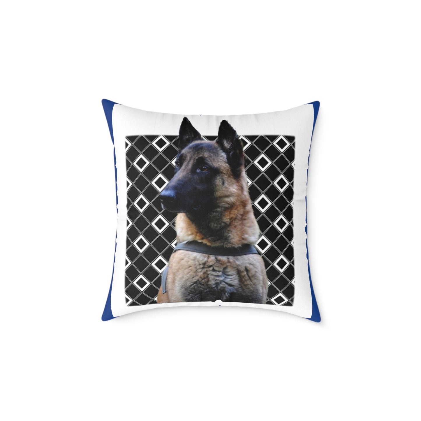 Square Poly Canvas Pillow