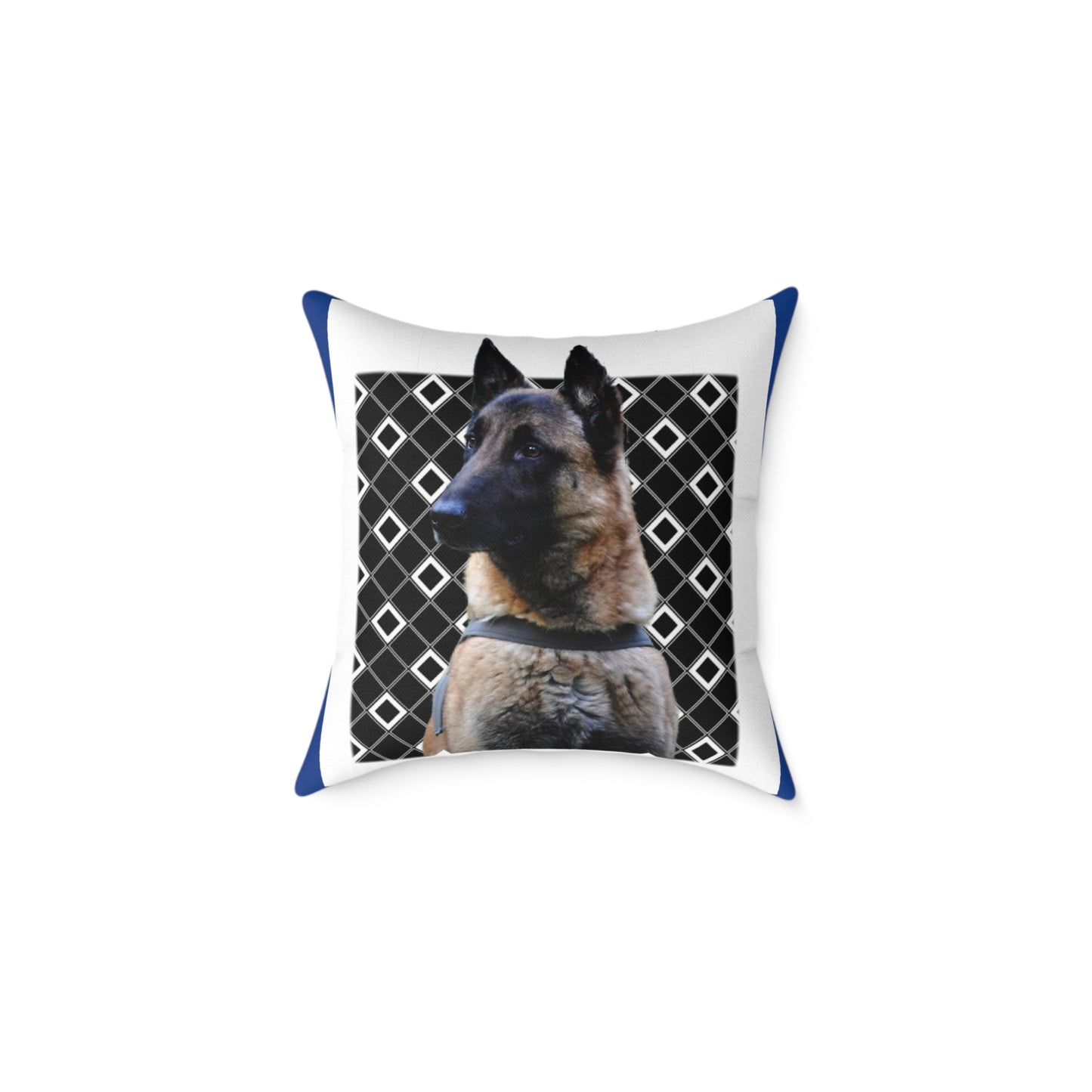 Square Poly Canvas Pillow