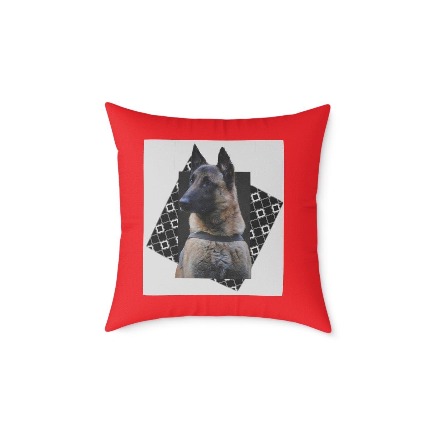 Square Poly Canvas Pillow