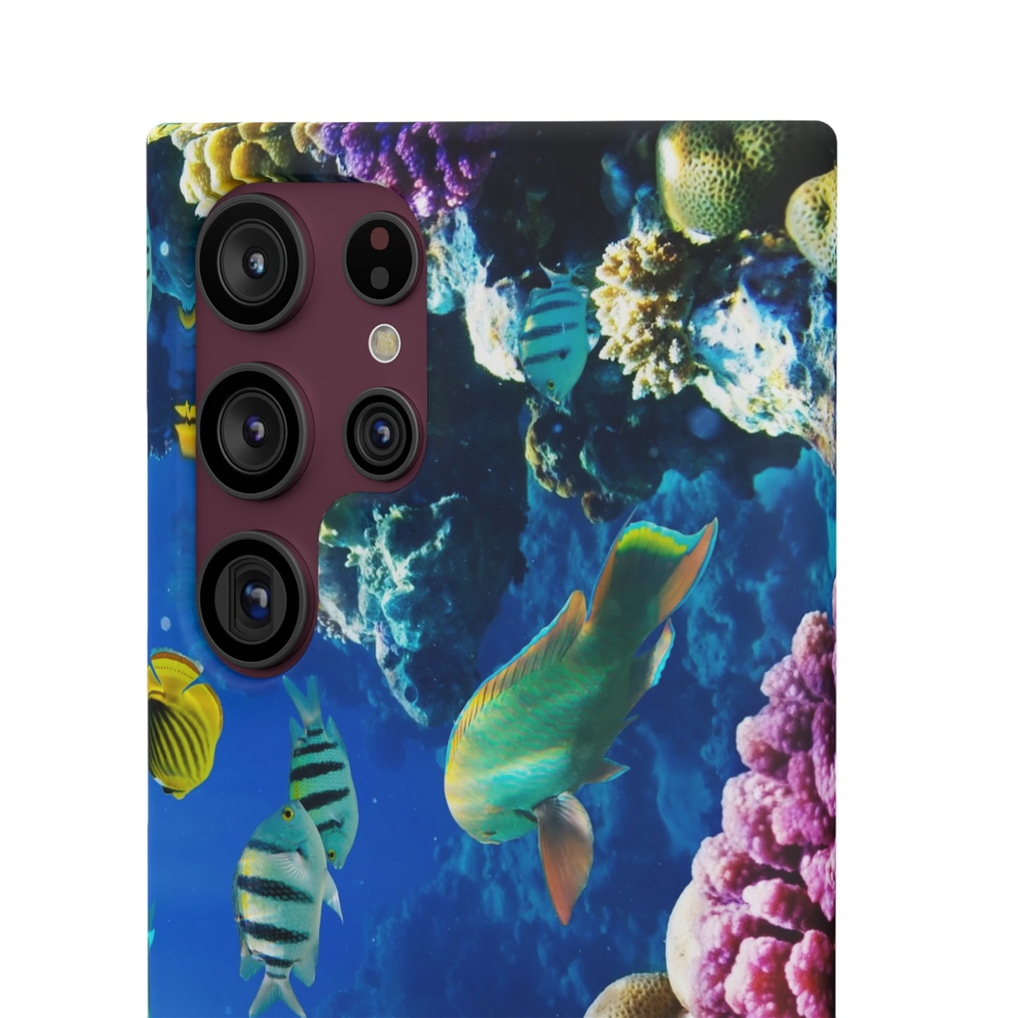 Tropical Fish Snap Cases