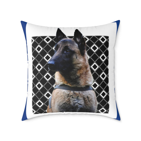 Square Poly Canvas Pillow