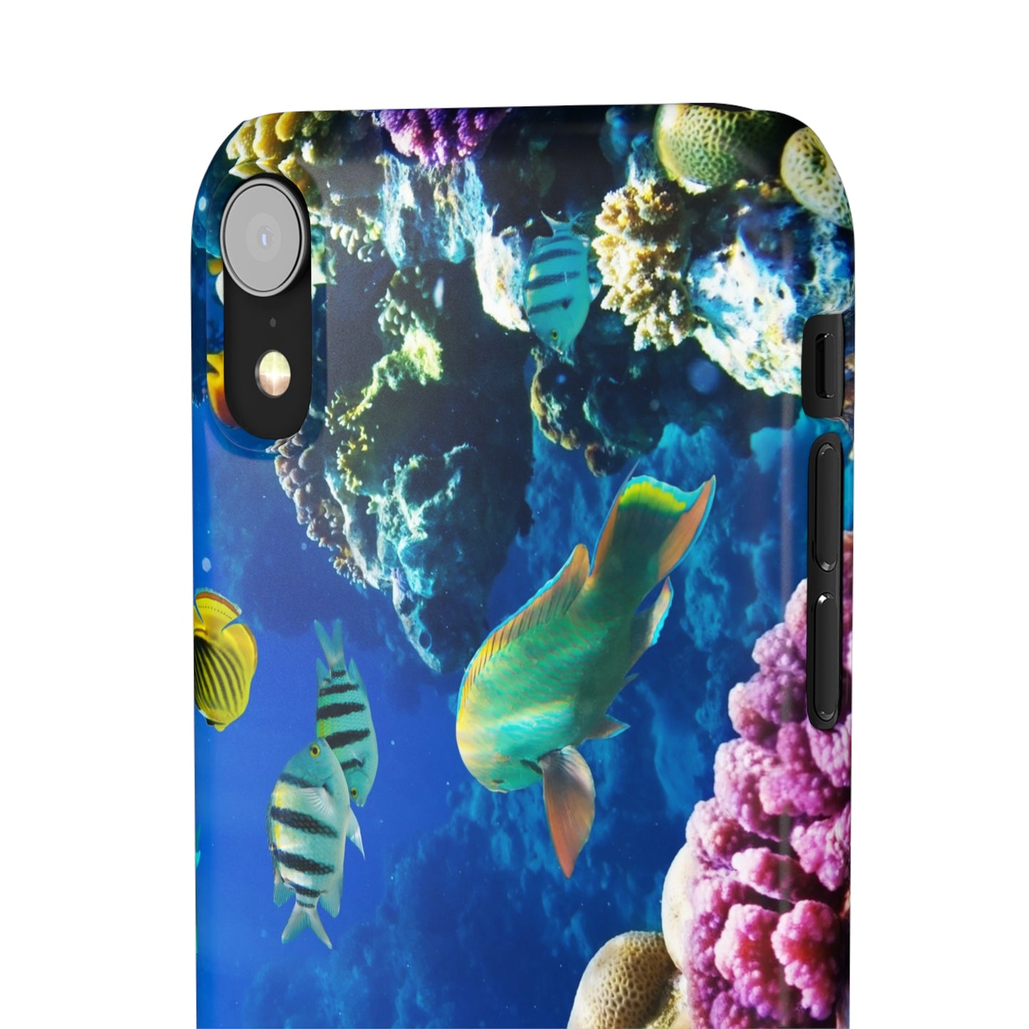Tropical Fish Snap Cases