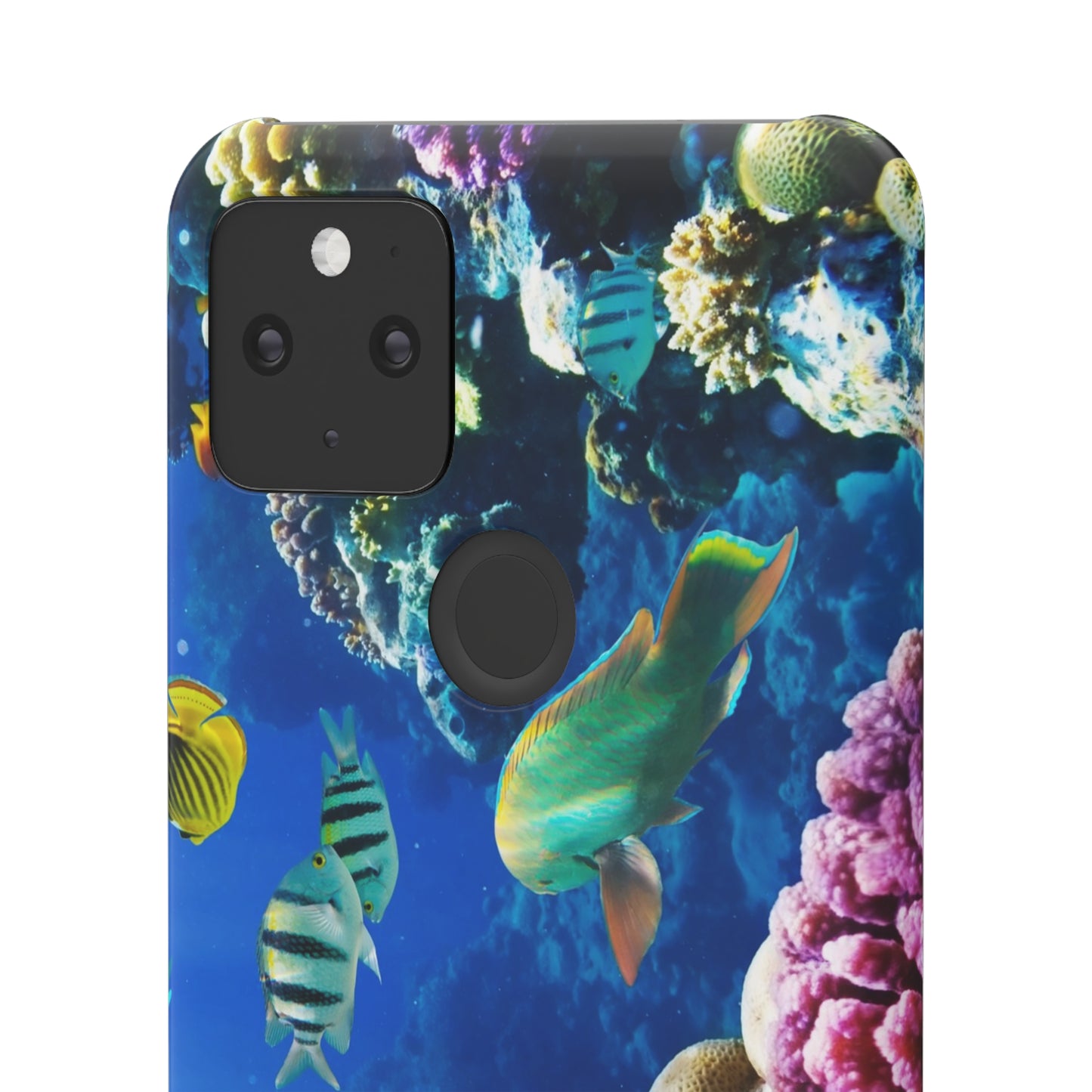 Tropical Fish Snap Cases
