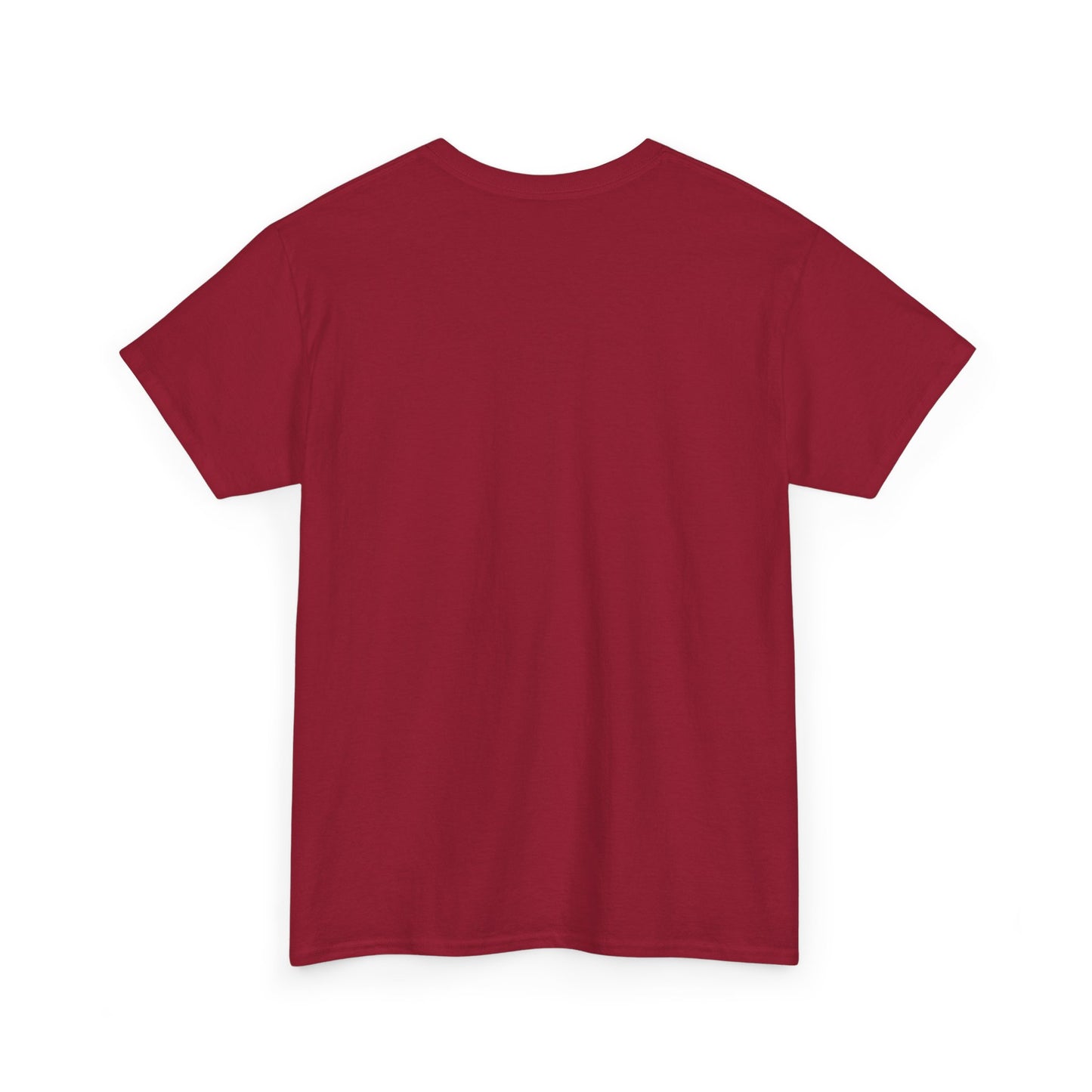 Zara Unisex Heavy Cotton Tee