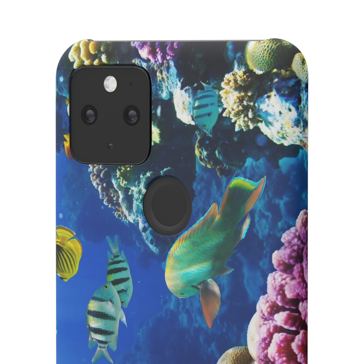 Tropical Fish Snap Cases