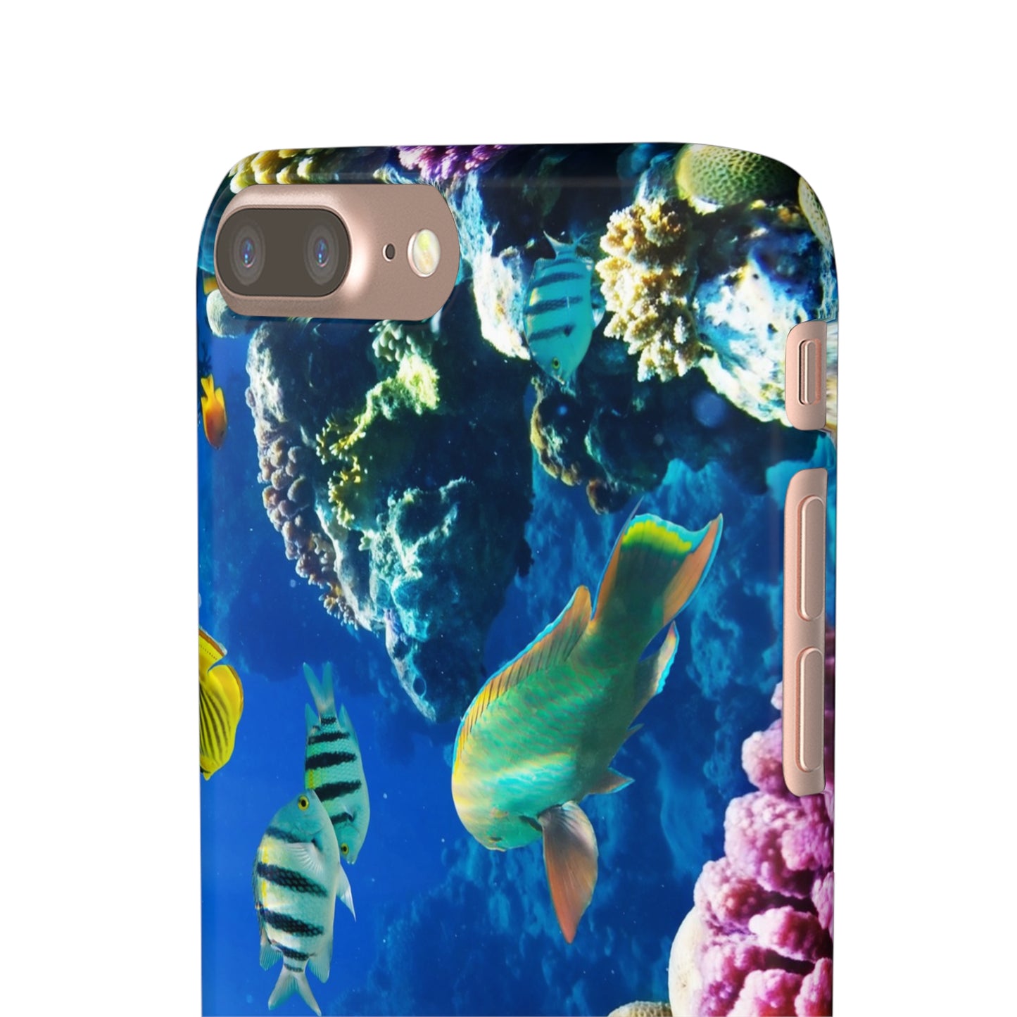 Tropical Fish Snap Cases
