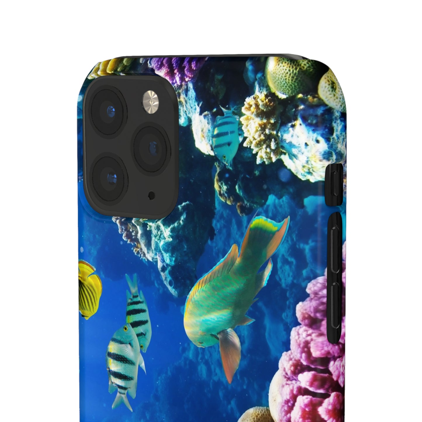 Tropical Fish Snap Cases