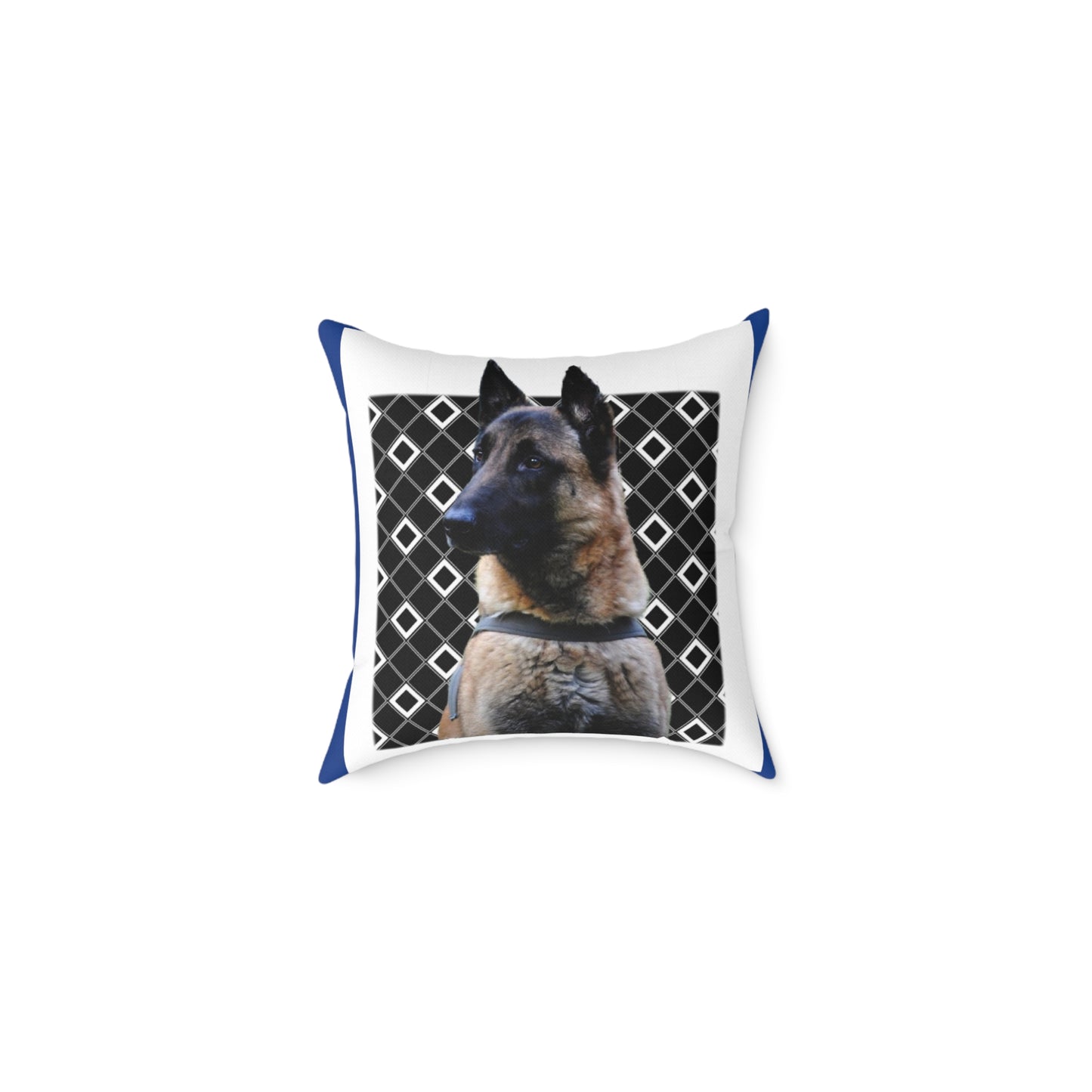 Square Poly Canvas Pillow