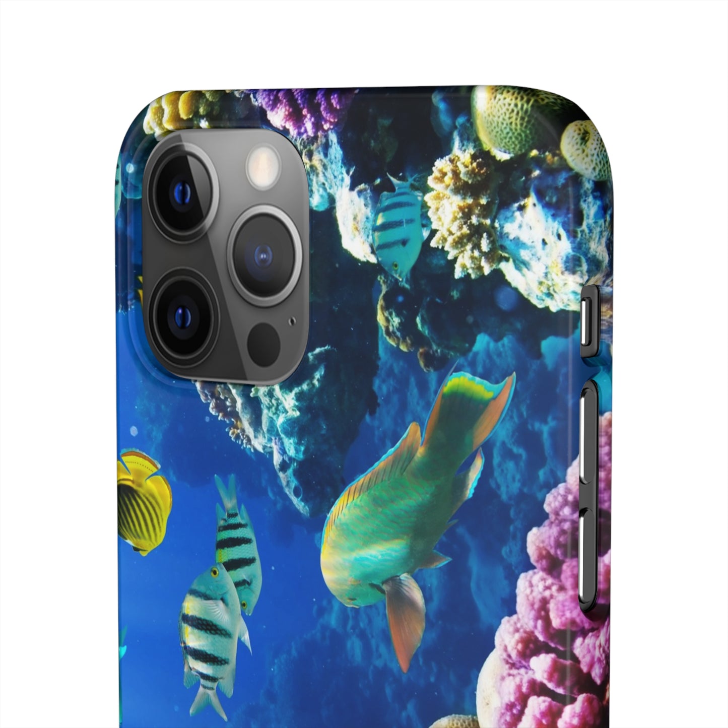 Tropical Fish Snap Cases