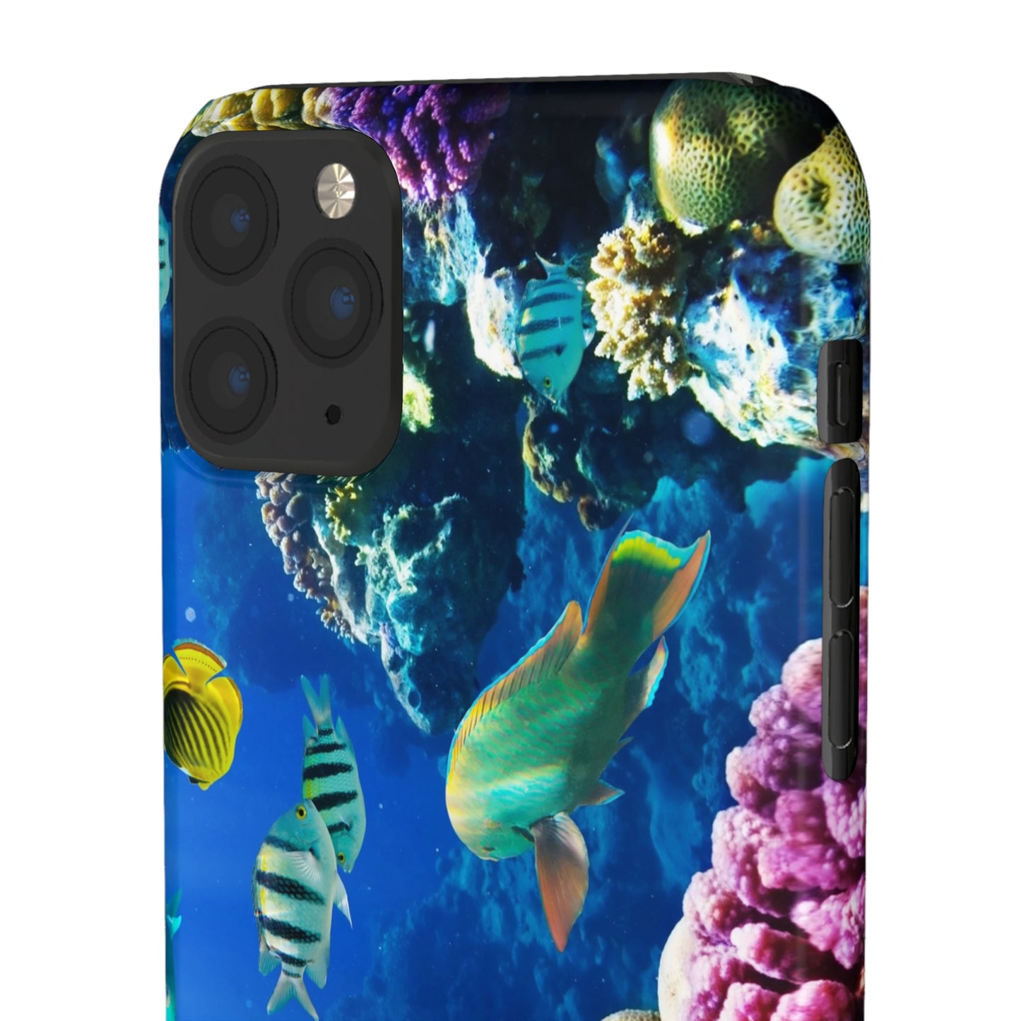 Tropical Fish Snap Cases