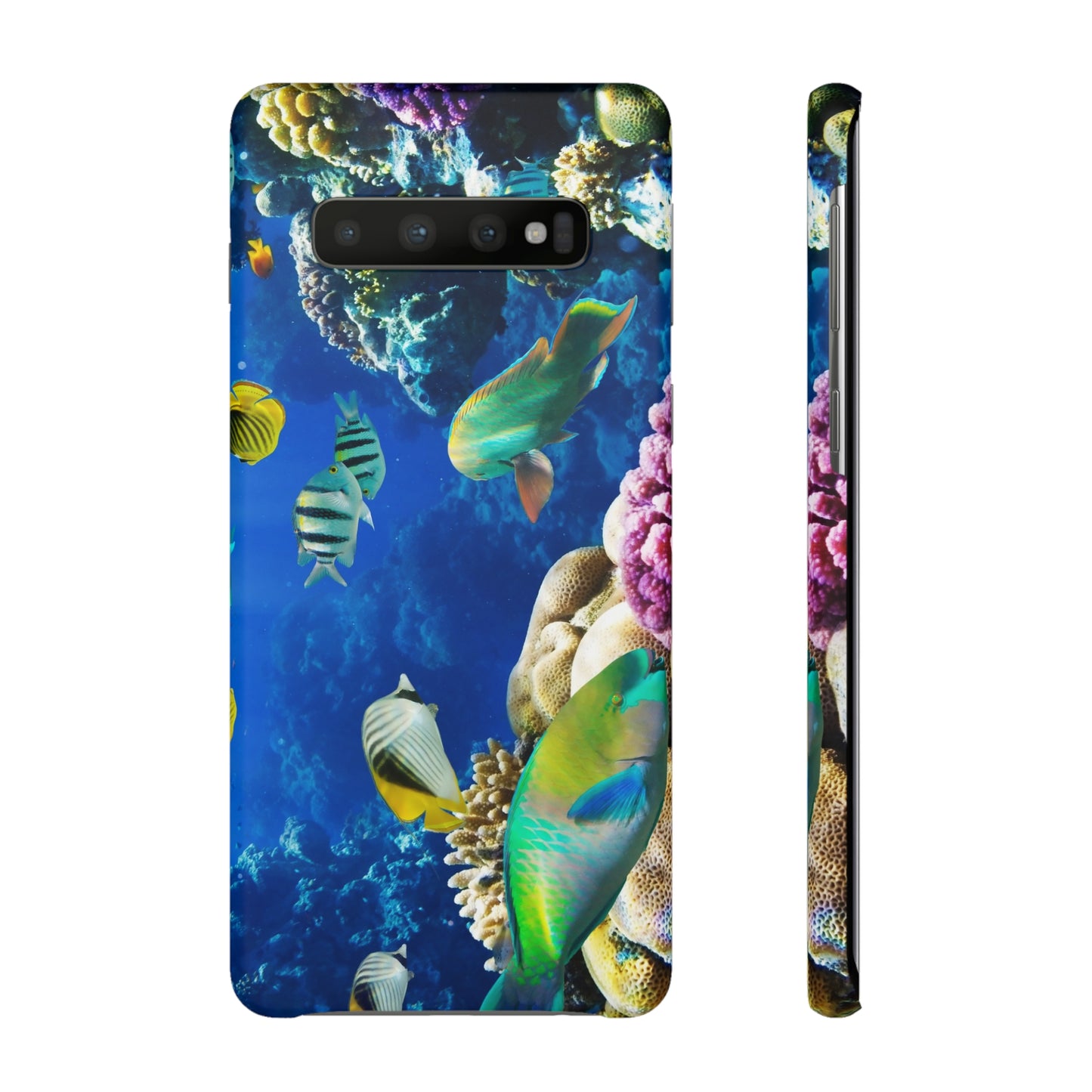 Tropical Fish Snap Cases