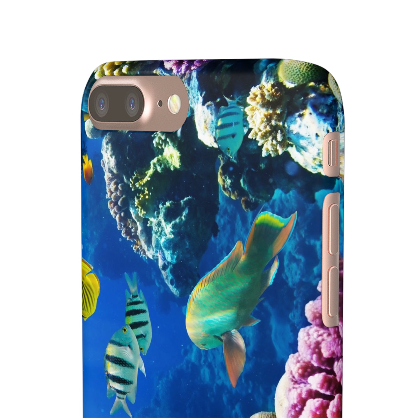 Tropical Fish Snap Cases
